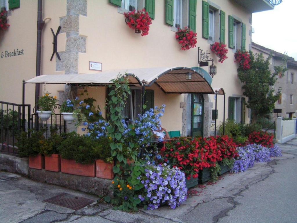 In Plait Bed & Breakfast Cercivento Екстериор снимка